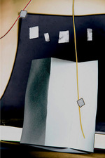CANDACE DICARLO The paintings 