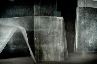 CANDACE DICARLO The paintings 