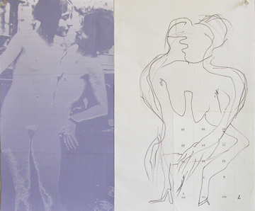 Carol Bruns Two-Part Drawings 2009-14 photo, pen, ink