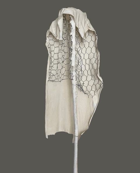 Carol Bruns Sculpture 2019-2023 plaster, gamboo, wire, cloth