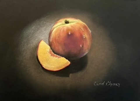 Carol Gromer Fine Art Still Lifes Conte and Charcoal on Paper