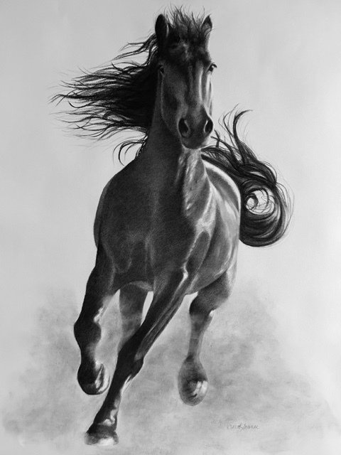 Carol Gromer Fine Art Horses Charcoal and Conte on Paper