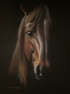 Carousel artwork image 566