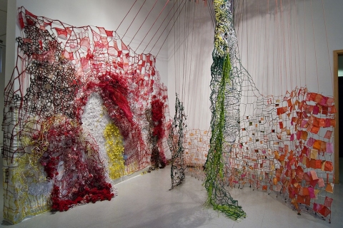 Caroline Lathan-Stiefel  Split Barrier, Cohosh & Sinew (2008-2010) fabric, pipe cleaners, yarn, pins, plastic, thread, fruit nets, plastic ties, styrofoam balls, tacks, lead weights