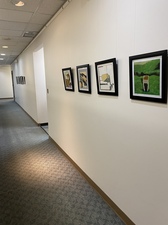 Carol Radsprecher Exhibition Installation Photos Digital prints