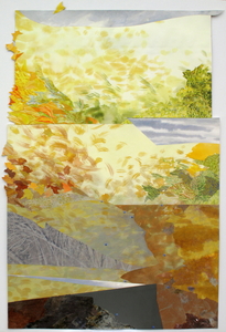 CAROLYN SWIFT Flux mixed media collage:  woodcut, relief print, collograph, acrylic ink and paint, colored pencil, hemp cord, embroidery floss