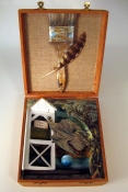 Cate M. Leach Assemblage assemblage