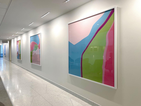 Cate Woodruff Gallery Photos Installed in Permanent Collection