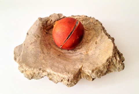       C.W. HOBBICK Age (2012 - 2014) Fossil, onyx sphere, orange peel