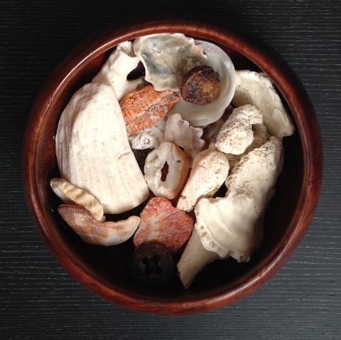       C.W. HOBBICK Now [Maturity] (2015) Redwood bowl, seashells, yew berries