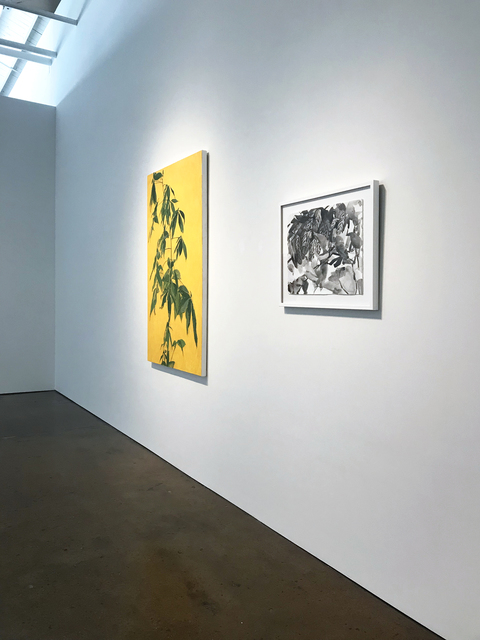 Selected Exhibitions David Lusk Gallery