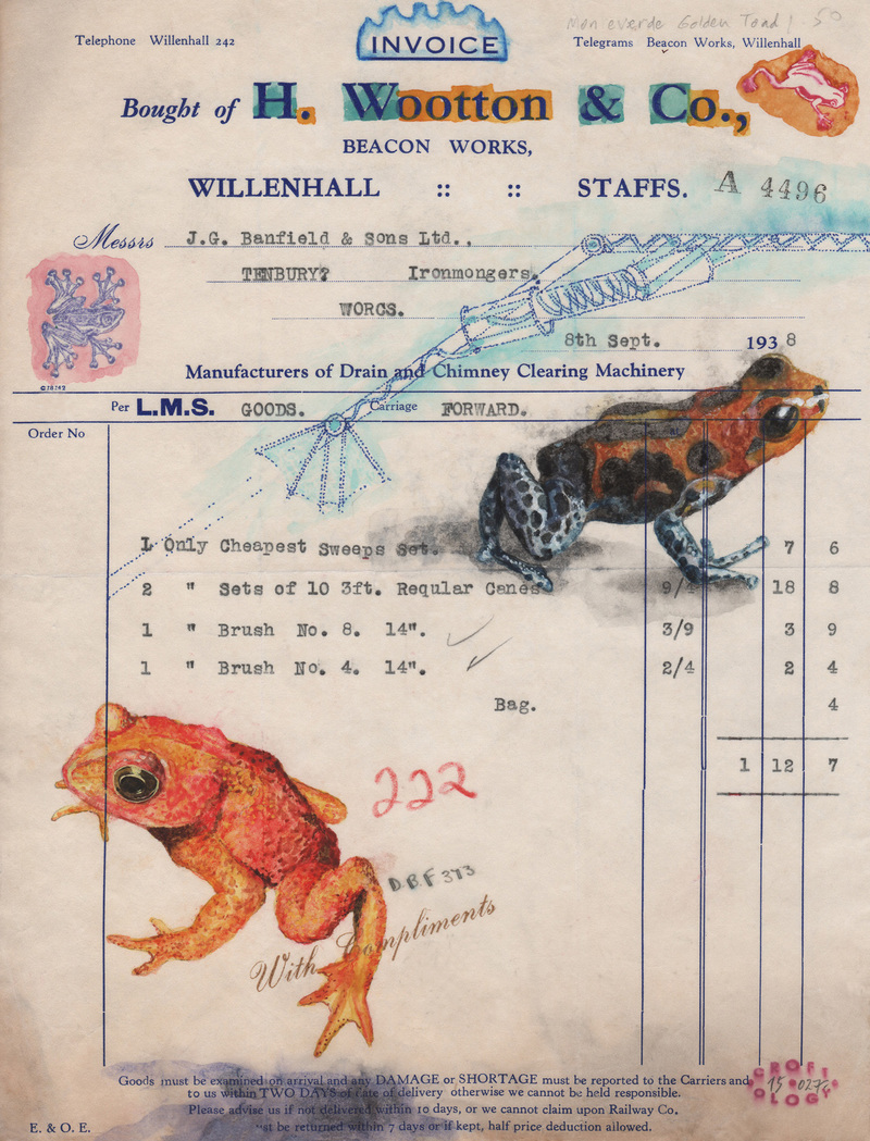 Christopher Croft Endangered Animals Watercolour, Rubber Stamp(s) on Old Document