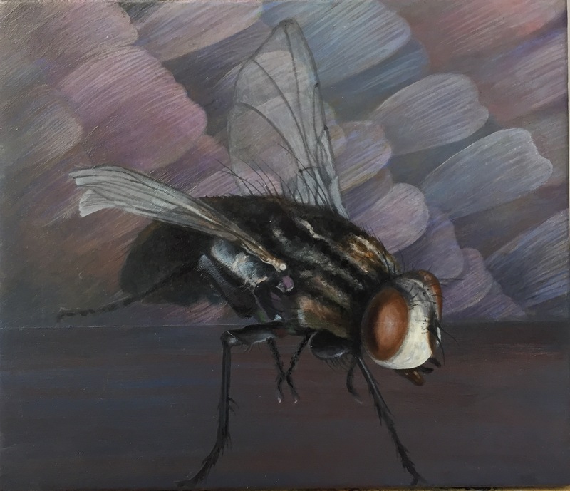Christopher Croft Insects Oil on Wood Panel