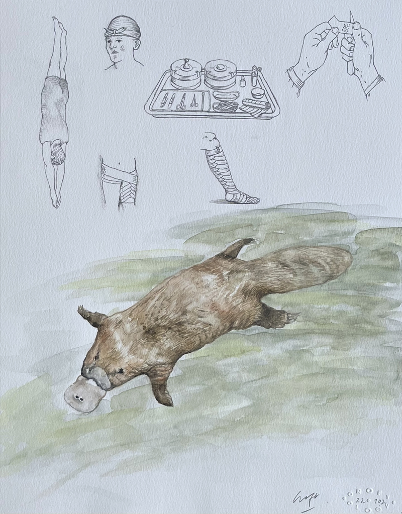 Christopher Croft Dreaming Animals Watercolour; Graphite on Canson Paper