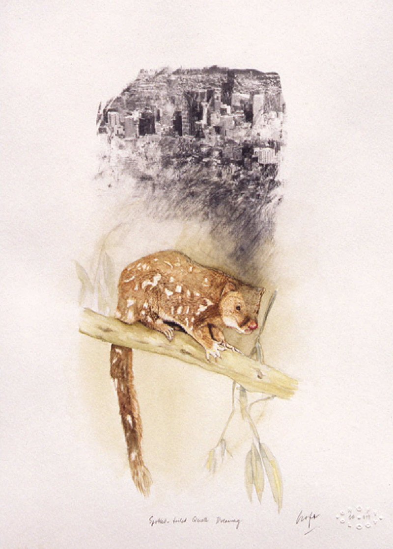 Christopher Croft Dreaming Animals Watercolour; PhotoTransfer; Graphite on Canson Paper