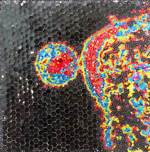 christybomb glitter viruses Glitter, ink, acrylic paint on canvas