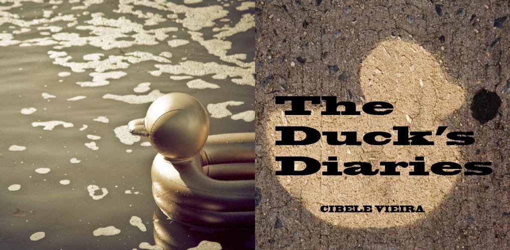Cibele Vieira The Duck's Diaries (book project) 