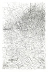 Carousel artwork image 273