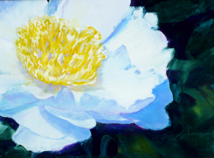  Archives oil on board