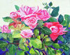 Carousel artwork image 1113