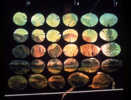 Cindy Tower Landscapes/National Parks oil on wood slices