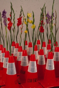Cindy Tower Viewers as Creators Oraqnge traffic cones and Gladiolas