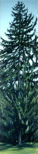 Cindy Tower Tree Paintings 