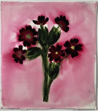 Claire Milah Libin Flowers watercolor + ink watercolor + ink on paper