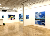 CLAIRE McCONAUGHY NOT SO FAR AWAY The Painting Center 10/29-11/23/19 