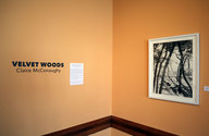 CLAIRE McCONAUGHY VELVET WOODS Nurture Nature Center 1/30/20 - 4/10/20 