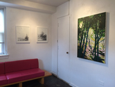 CLAIRE McCONAUGHY THE INNOCENCE OF TREES Drawing Rooms 4/21-6/10/17 