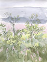 CLAIRE McCONAUGHY Fragile Landscape Watercolors 2020 watercolor on paper
