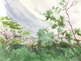 CLAIRE McCONAUGHY Fragile Landscape Watercolors 2020 watercolor on paper