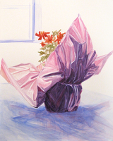 CLAIRE McCONAUGHY Foil Plants 2014 acrylic on paper