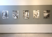 CLAIRE McCONAUGHY WOODS Yashar Gallery 2/7-3/22/18 