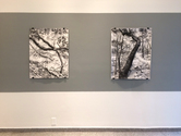 CLAIRE McCONAUGHY WOODS Yashar Gallery 2/7-3/22/18 