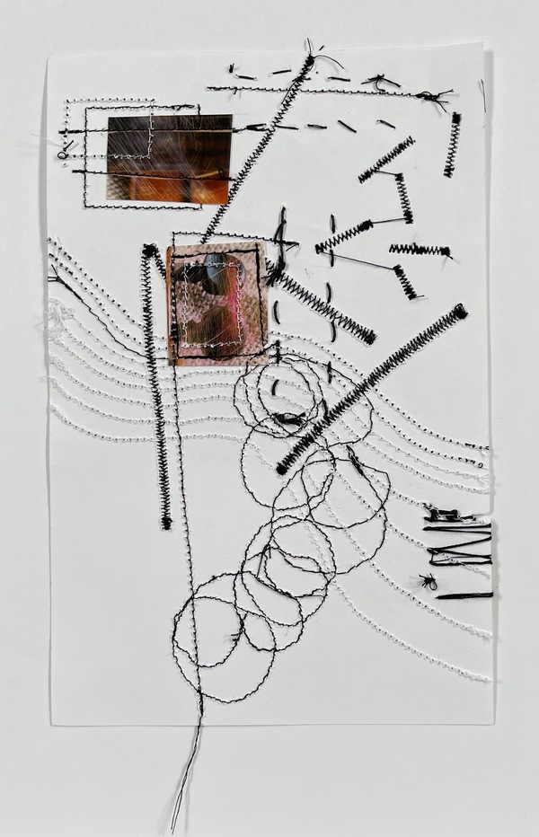 Clare Murray Adams Two-Sided Conversations 