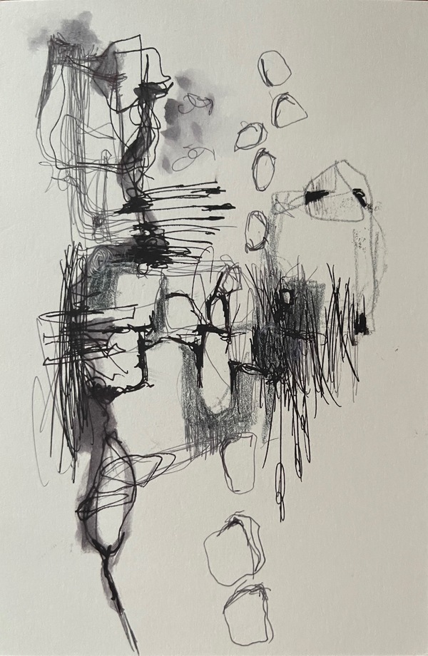 Clare Murray Adams  Midnight Marks Drawings drawing