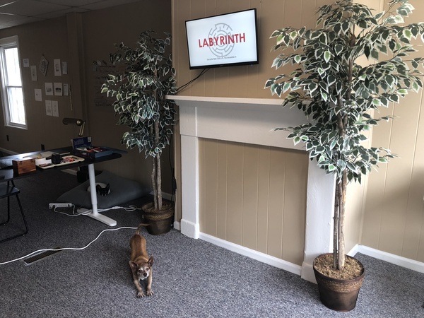 Clover Archer  ICS Lexington (VA) office residency, 2018 