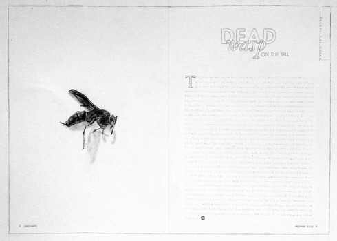 Clover Archer  Ordinary: premiere issue graphite on paper