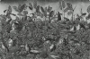 Carousel artwork image 373
