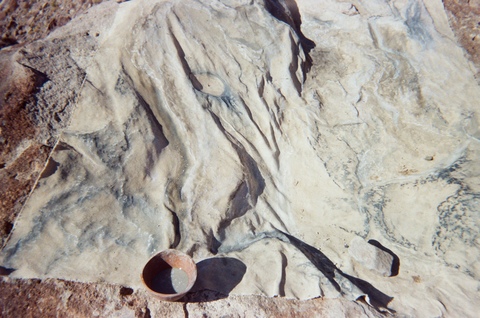  FILM (from the field) 