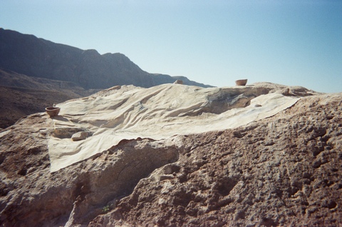  FILM (from the field) 