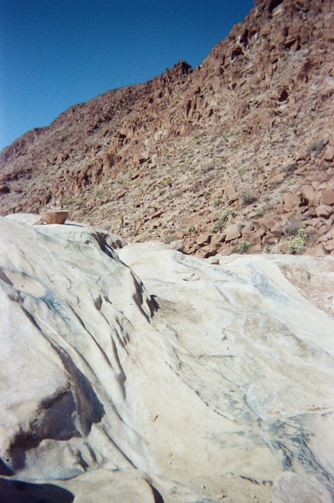  FILM (from the field) 