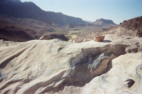  FILM (from the field) 