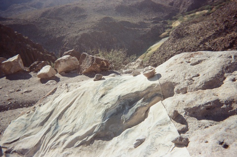  FILM (from the field) 