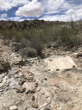 COLLEEN O'BRIEN TERLINGUA 