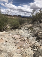 COLLEEN O'BRIEN TERLINGUA 