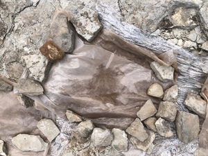 COLLEEN O'BRIEN TERLINGUA 