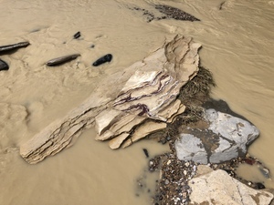 COLLEEN O'BRIEN BIG BEND 